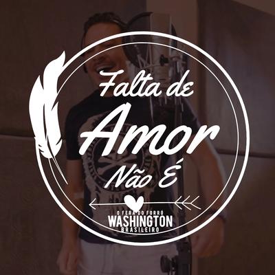 Falta de Amor Não É By Washington Brasileiro's cover