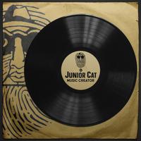 Junior Cat's avatar cover