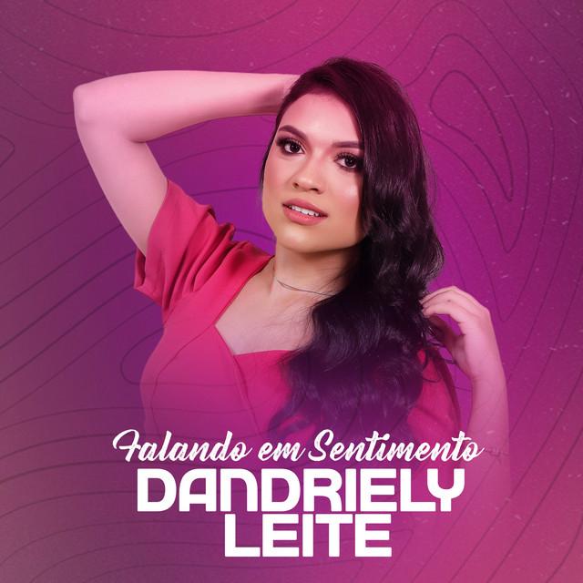 Dandriely Leite's avatar image