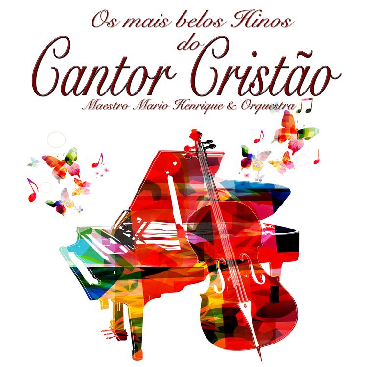 Maestro Mario Henrique & Orquestra's avatar image