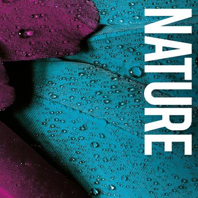 Nature Rain (Original Mix)'s cover