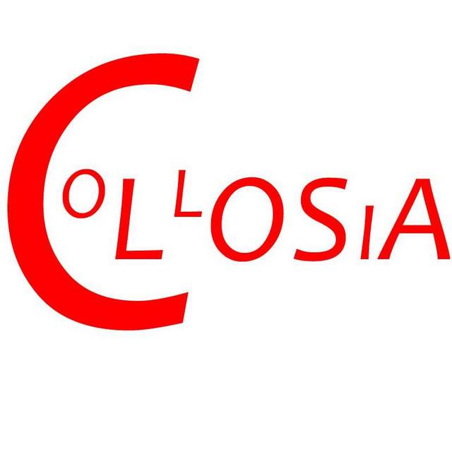 Collosia's avatar image
