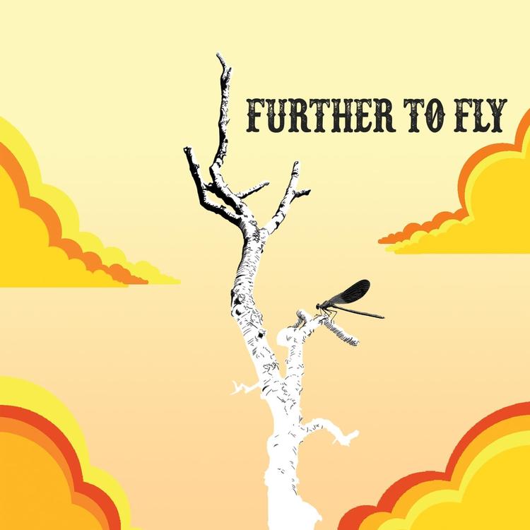 Further to Fly's avatar image