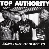 Top Authority's avatar cover