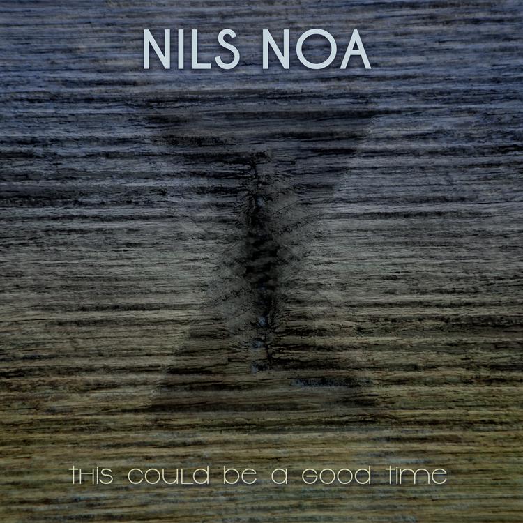 Nils Noa's avatar image
