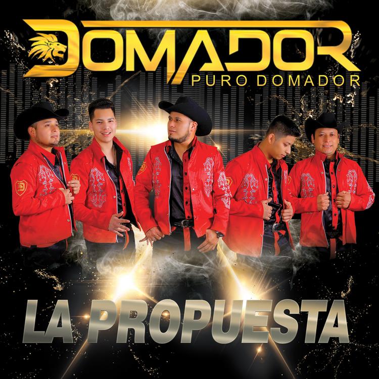 Domador's avatar image
