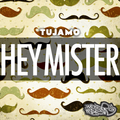 Hey Mister (Radio Edit) By Tujamo's cover