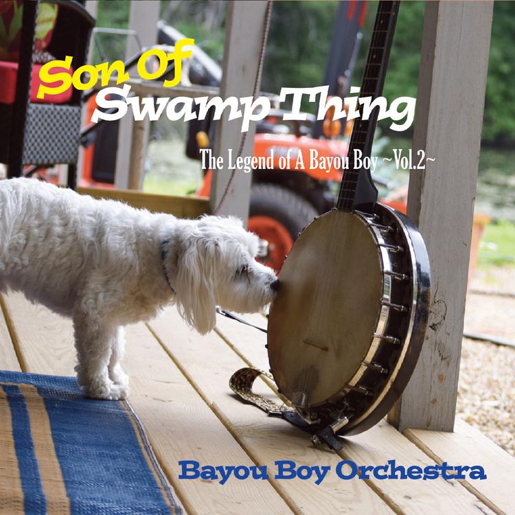 Bayou Boy Orchestra's avatar image