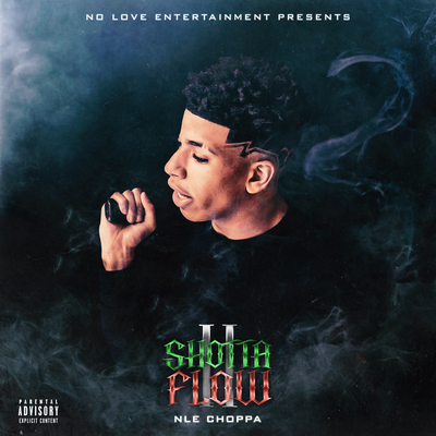 Shotta Flow 2 By NLE Choppa's cover