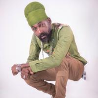 Lutan Fyah's avatar cover