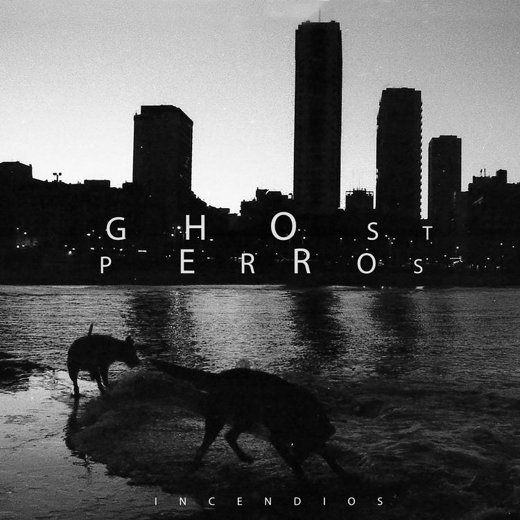 Ghost Perros's avatar image