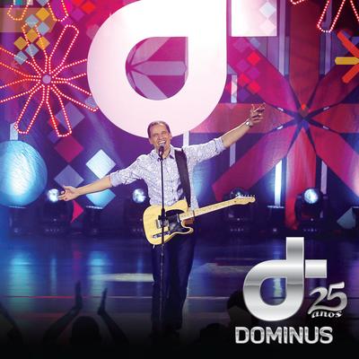 Dominus 25 Anos's cover