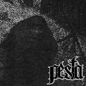 Pesta's avatar image