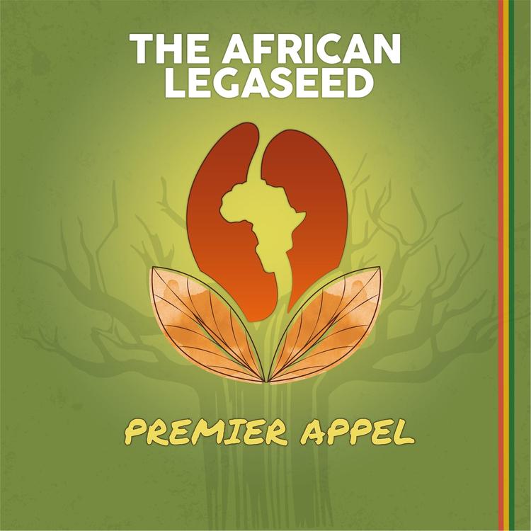 THE AFRICAN LEGASEED's avatar image