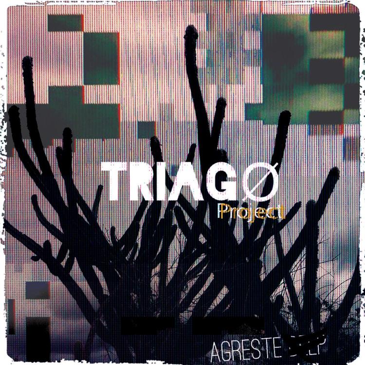 Triagø Project's avatar image