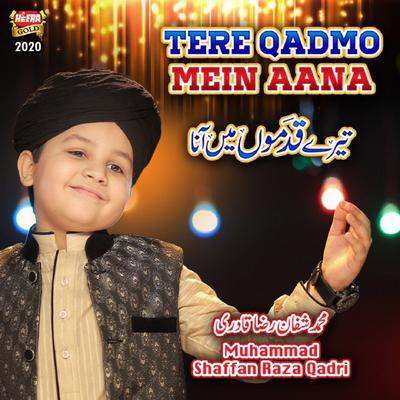 Muhammad Shaffan Raza Qadri's cover