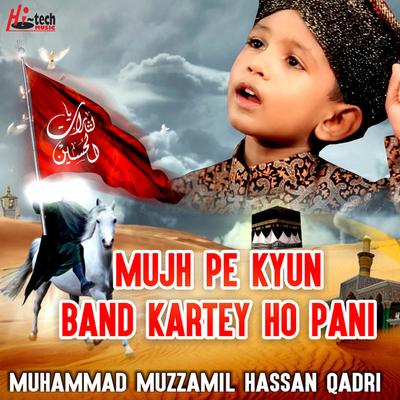 Muhammad Muzammil Hassan Qadri's cover