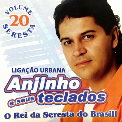 Anjinho e Seus Teclados's cover