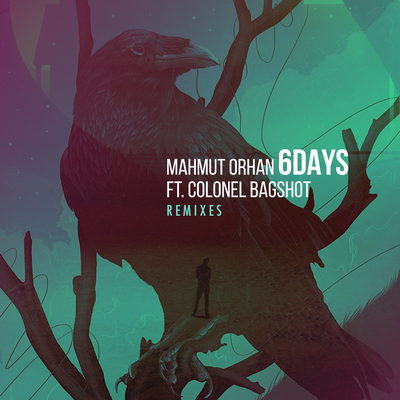 6 Days (Alle Farben Remix) By Mahmut Orhan, Colonel Bagshot's cover