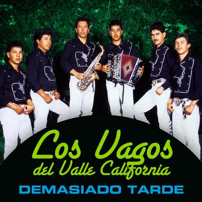 Los Vagos del Valle California's cover