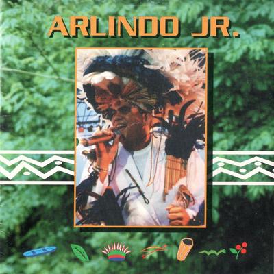 A Contagem (Ao Vivo) By Arlindo Junior's cover