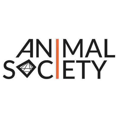 Illuminate By Animal Society's cover