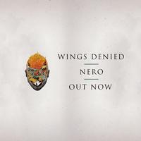 Wings Denied's avatar cover