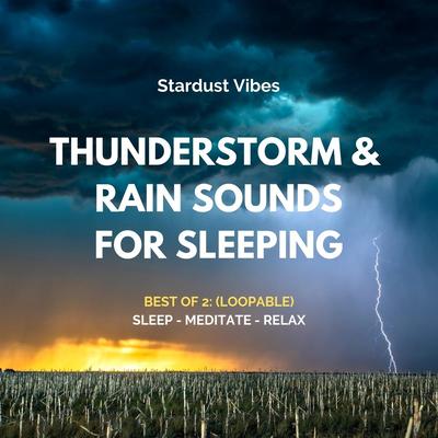 Rain and Heavy Wind Sounds with Distant Thunder and Ocean Waves By Stardust Vibes's cover