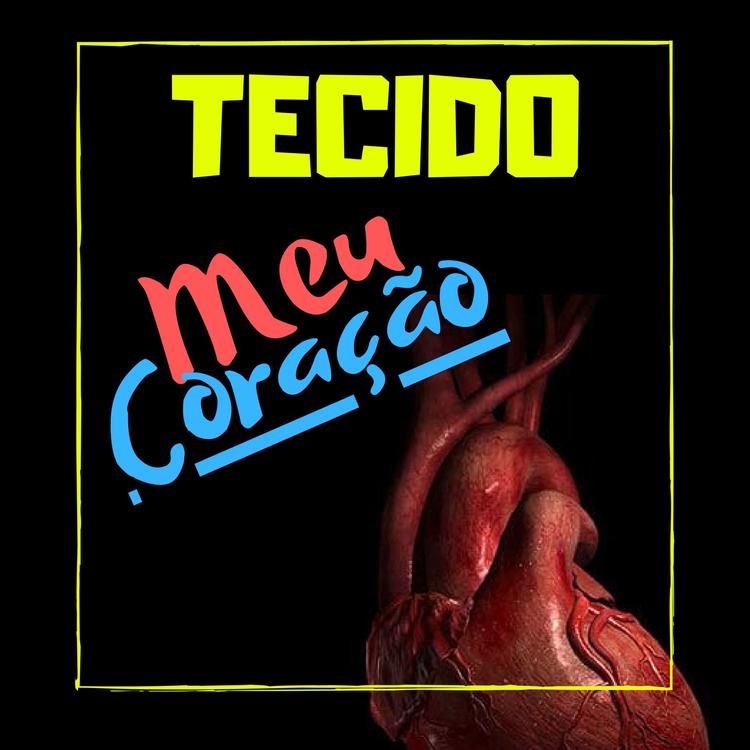 TECIDO's avatar image