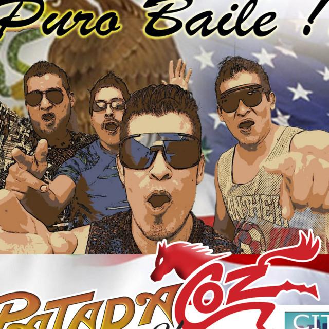 Patada Y Coz's avatar image