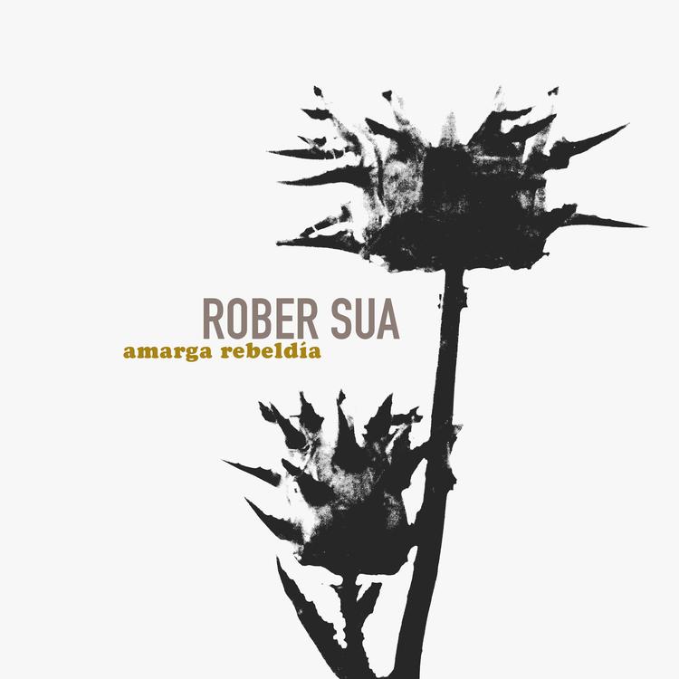 Rober Sua's avatar image