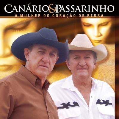 Dia dos Pais By Andorinha, Canario E Passarinho's cover