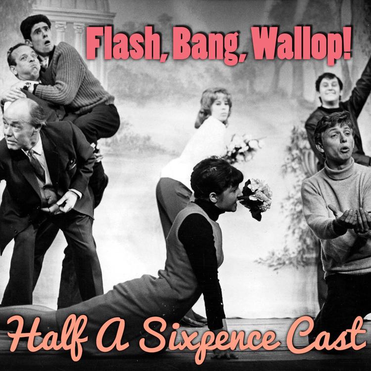 Half A Sixpence Cast's avatar image