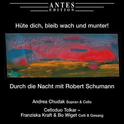 Hüte dich, bleib wach und munter! - Durch die Nacht mit Robert Schumann's cover