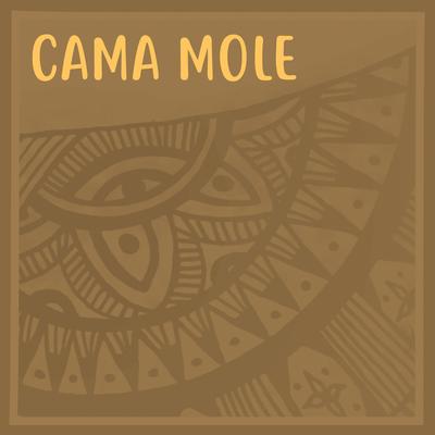 Cama Mole By Pedro Hoisel & Cris Diniz's cover