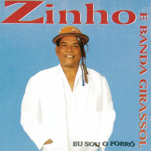 Zinho E Banda Girassol's avatar image