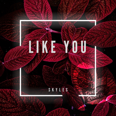 Like You By Skyles's cover