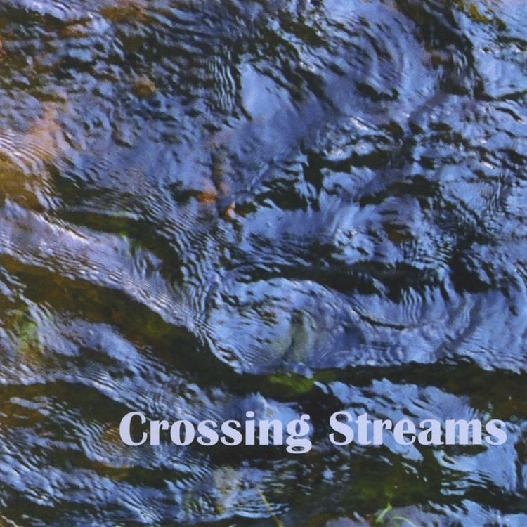 Crossing Streams's avatar image