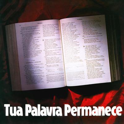 A Ti Meu Deus By Roselene, Coral Palestrina's cover