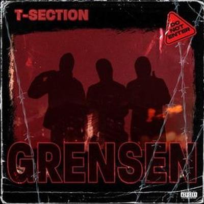 Grensen By T Section's cover