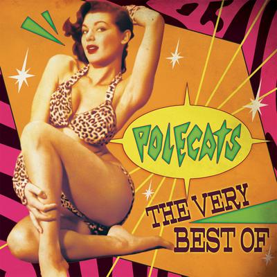 Make a Circuit with Me (Extended DJ Mix) By Polecats's cover