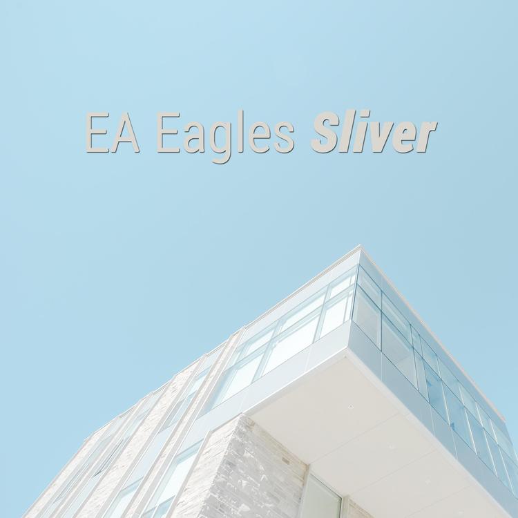 Ea Eagles's avatar image