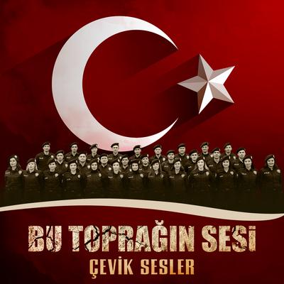 Yemen Türküsü By Yavuz Bingöl's cover