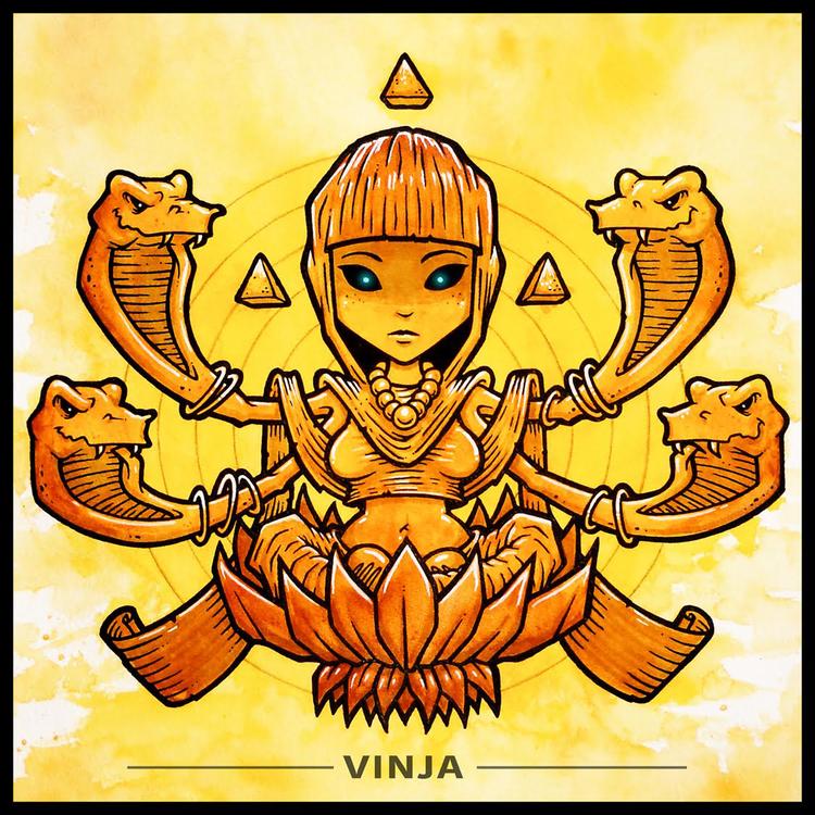 Vinja's avatar image