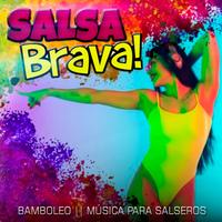 Salsa Brava's avatar cover