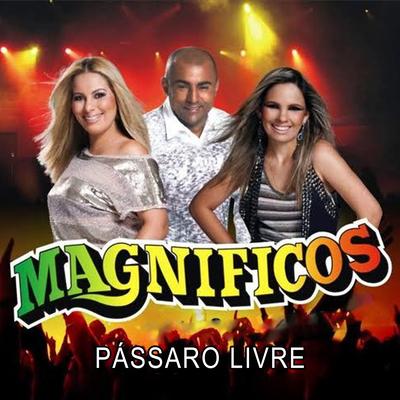 Banda magnificos as melhores's cover