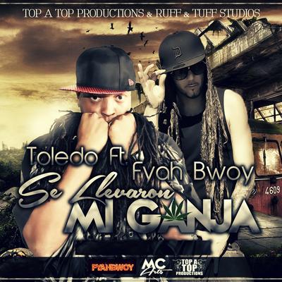 Se Llevaron Mi Ganja (feat. Fyahbwoy)'s cover