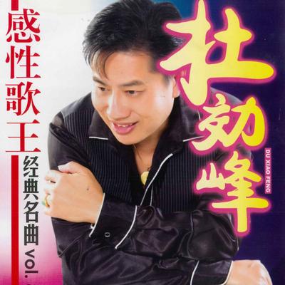 杜晓峰 经典名曲, Vol.8's cover
