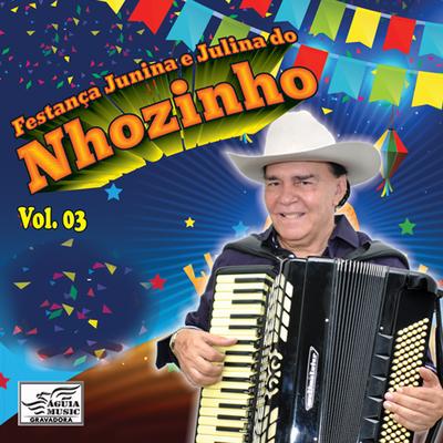 Festança Junina e Julina do Nhozinho, Vol. 3's cover