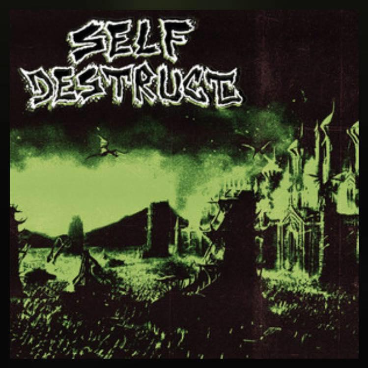 Self Destruct's avatar image